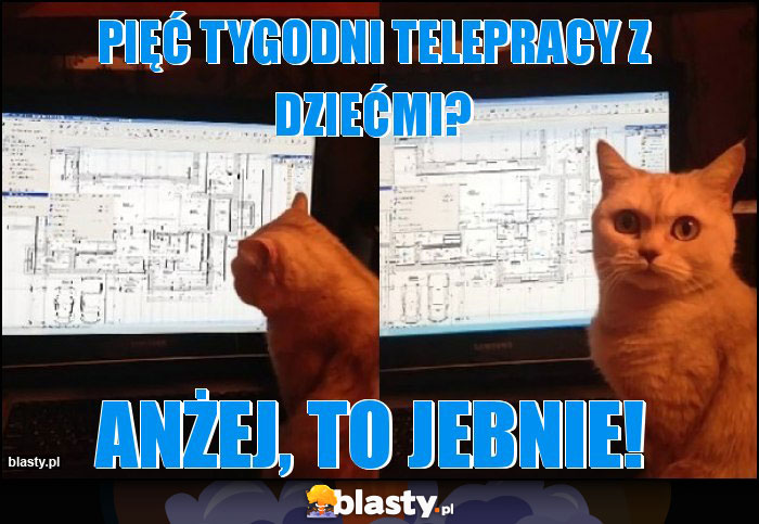Pięć tygodni telepracy z dziećmi?