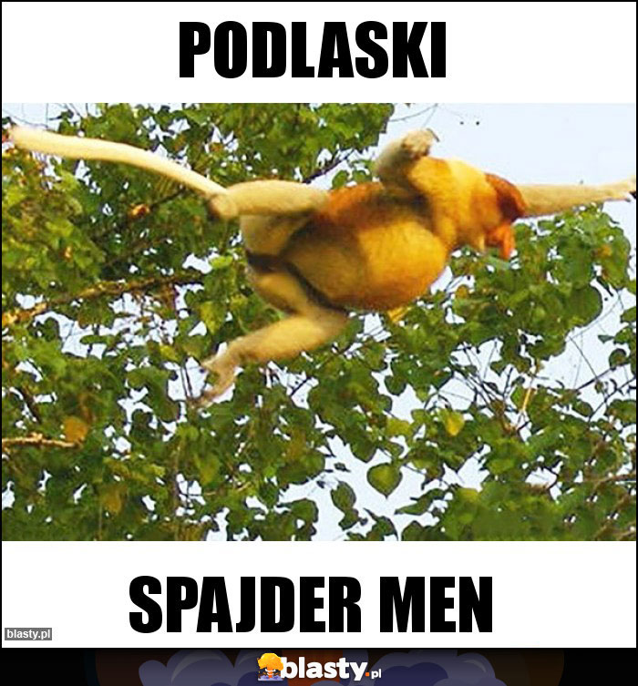 Podlaski