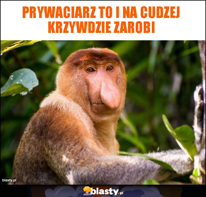 Prywaciarz to i na cudzej krzywdzie zarobi Prywaciarz to i na cudzej krzywdzie zarobi