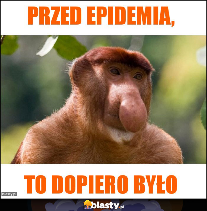 PRZED EPIDEMIA, PRZED EPIDEMIA,