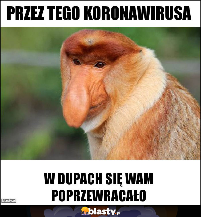 Przez tego koronawirusa Przez tego koronawirusa