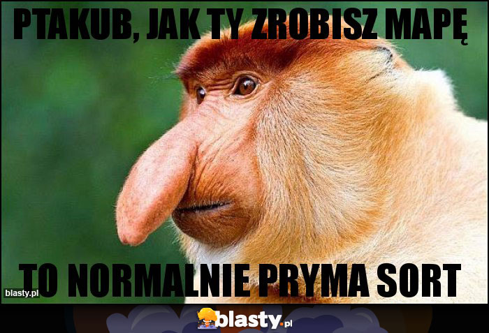 Ptakub, jak ty zrobisz mapę Ptakub, jak ty zrobisz mapę