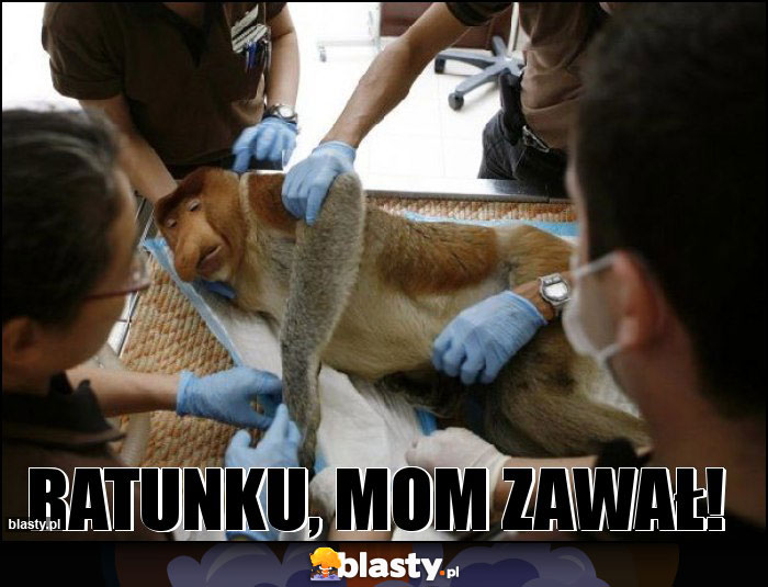 Ratunku, mom zawał! Ratunku, mom zawał!