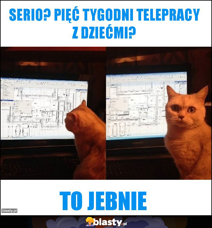 Serio? Pięć tygodni telepracy z dziećmi? Serio? Pięć tygodni telepracy z dziećmi?