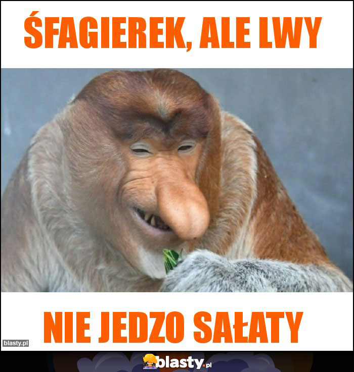 Śfagierek, ale lwy Śfagierek, ale lwy