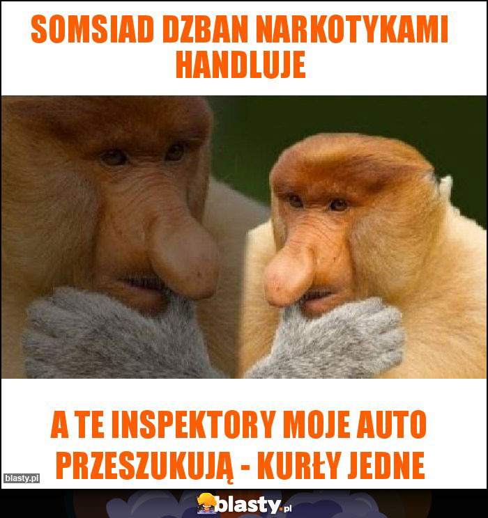 somsiad dzban narkotykami handluje somsiad dzban narkotykami handluje