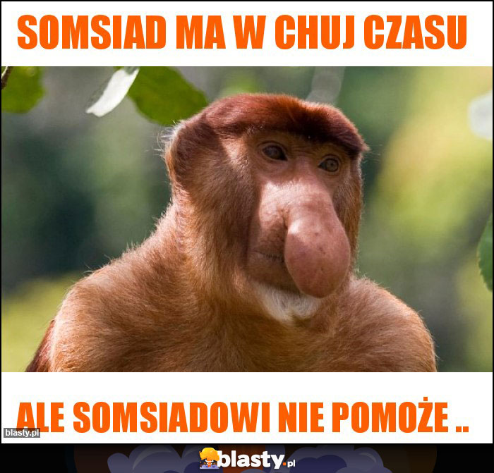 somsiad ma w chuj czasu somsiad ma w chuj czasu