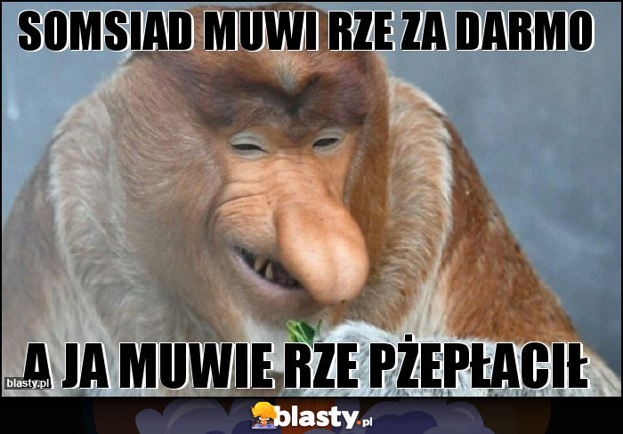 SOMSIAD MUWI RZE ZA DARMO SOMSIAD MUWI RZE ZA DARMO