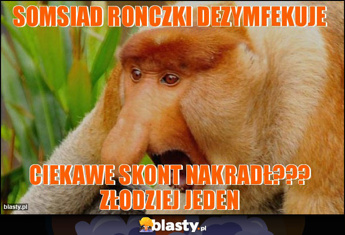 somsiad ronczki dezymfekuje somsiad ronczki dezymfekuje