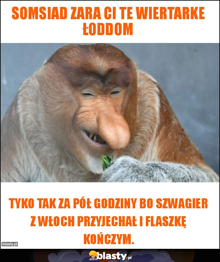 Somsiad Zara Ci te wiertarke łoddom Somsiad Zara Ci te wiertarke łoddom