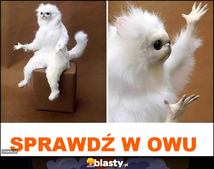 SPRAWDŹ W OWU SPRAWDŹ W OWU