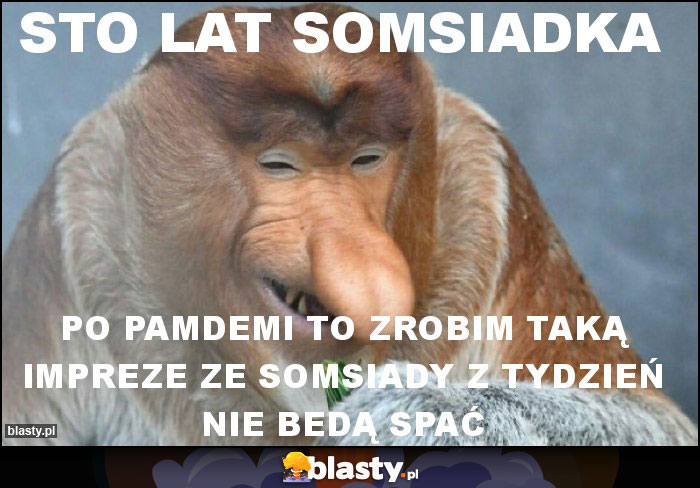 STO LAT SOMSIADKA STO LAT SOMSIADKA