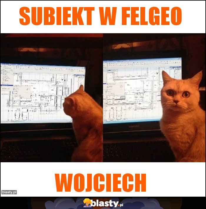 Subiekt w felgeo Subiekt w felgeo