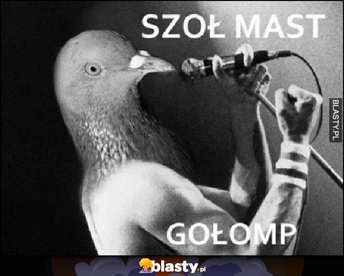 Szoł mast gołomp gołąb śpiewa show must go on Queen