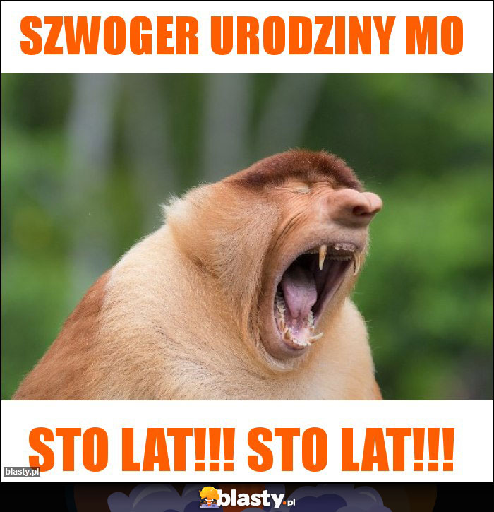 Szwoger urodziny mo Szwoger urodziny mo