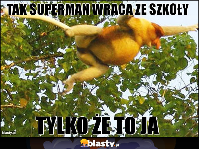 tak superman wraca ze szkoły tak superman wraca ze szkoły