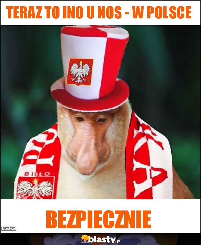 Teraz to ino u nos - w Polsce Teraz to ino u nos - w Polsce