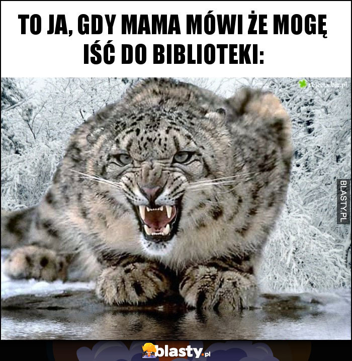 to ja, gdy mama mówi że mogę iść do biblioteki: to ja, gdy mama mówi że mogę iść do biblioteki: