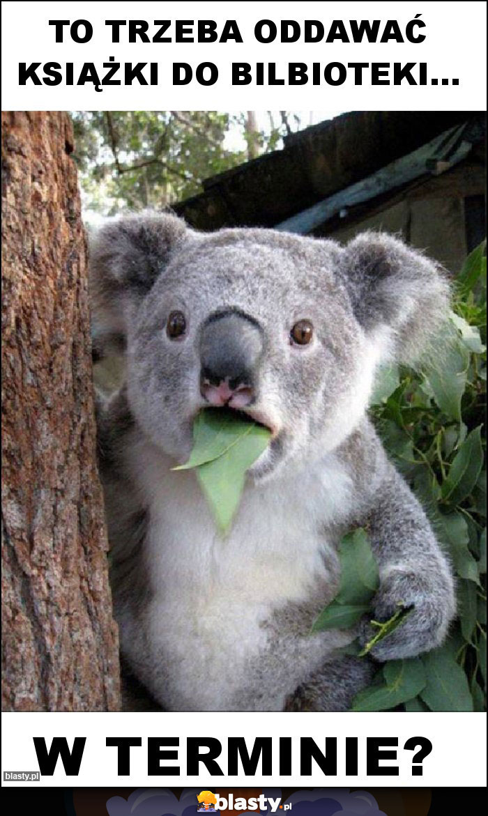 TO TRZEBA ODDAWAĆ KSIĄŻKI DO BILBIOTEKI...