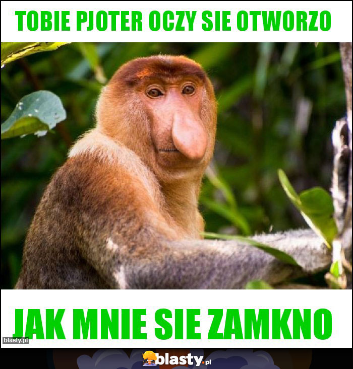 Tobie Pjoter oczy sie otworzo Tobie Pjoter oczy sie otworzo