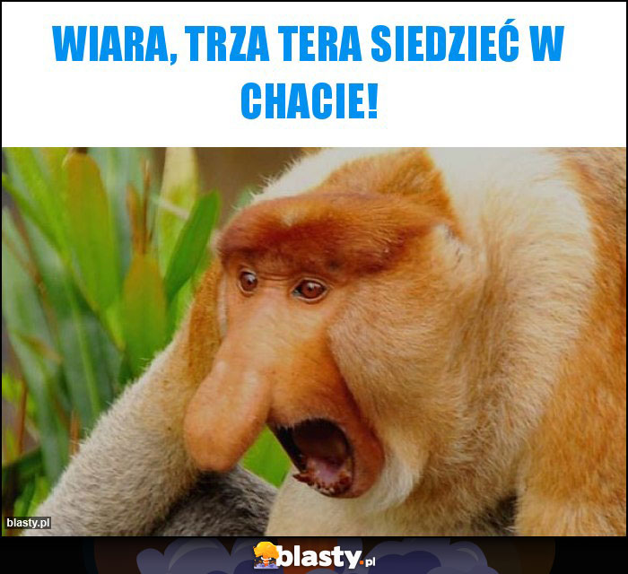 Wiara, trza tera siedzieć w chacie!