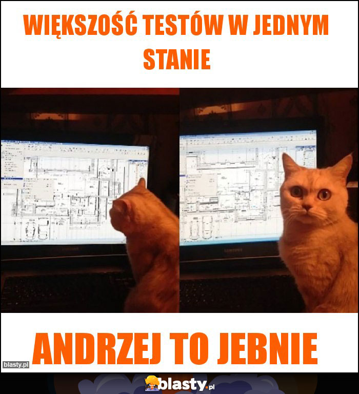 Większość testów w jednym stanie Większość testów w jednym stanie