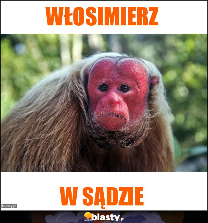 Włosimierz Włosimierz