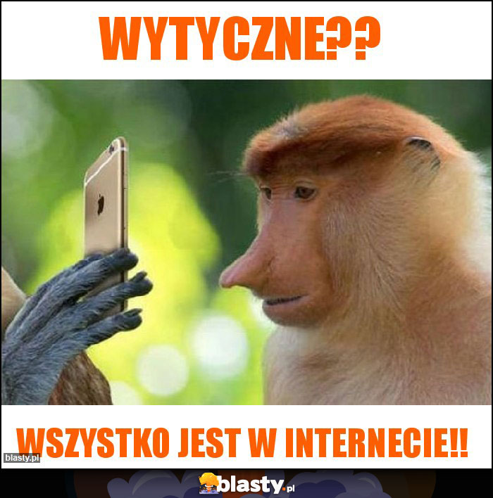 Wytyczne?? Wytyczne??