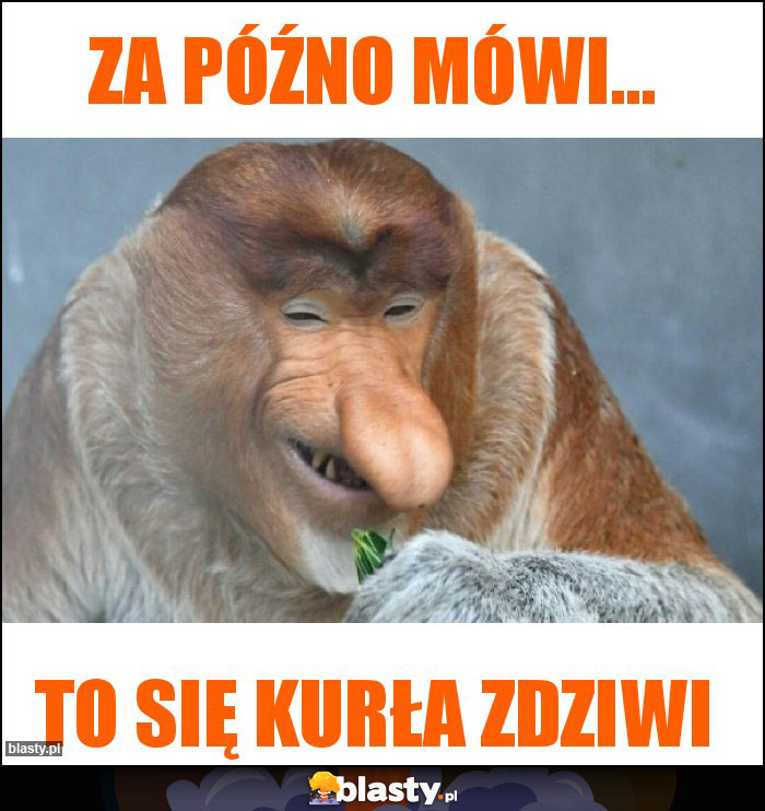 Za późno mówi... Za późno mówi...
