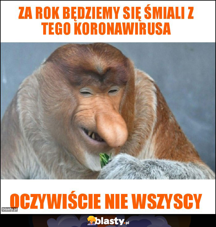 Za rok będziemy się śmiali z tego koronawirusa memy, gify i ...