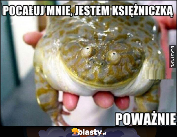 Żaba pocałuj mnie, jestem księżniczką, poważnie