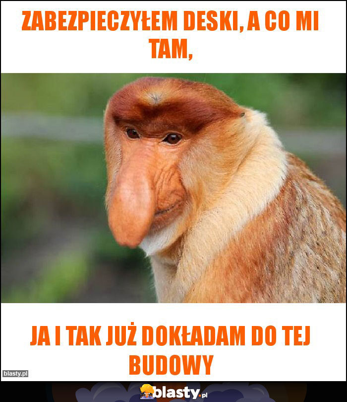 Zabezpieczyłem deski, a co mi tam, Zabezpieczyłem deski, a co mi tam,