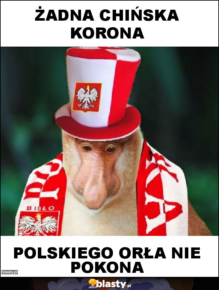 Żadna Chińska Korona Żadna Chińska Korona