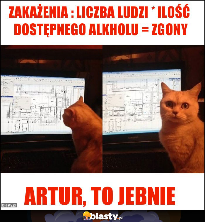 Zakażenia : Liczba ludzi * Ilość dostępnego alkholu = zgony Zakażenia : Liczba ludzi * Ilość dostępnego alkholu = zgony