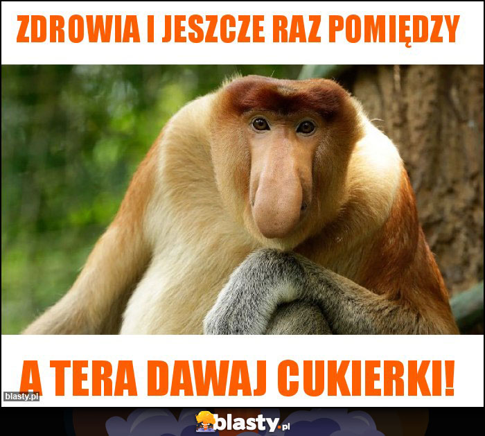 Zdrowia i jeszcze raz pomiędzy Zdrowia i jeszcze raz pomiędzy