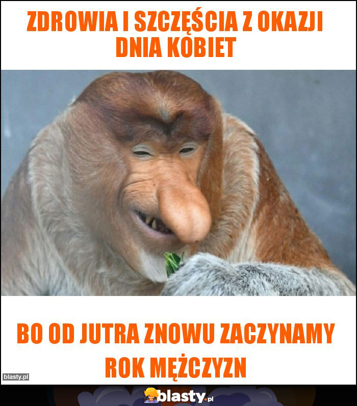 Zdrowia i szczęścia z okazji dnia kobiet Zdrowia i szczęścia z okazji dnia kobiet