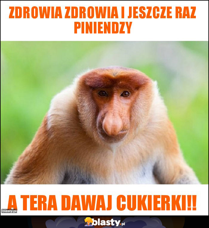 Zdrowia zdrowia i jeszcze raz piniendzy Zdrowia zdrowia i jeszcze raz piniendzy