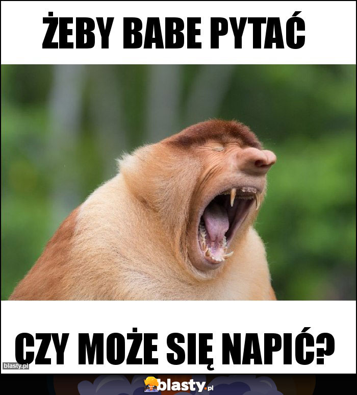 Żeby babe pytać Żeby babe pytać