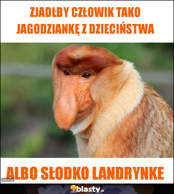 Zjadłby człowik tako jagodziankę z dzieciństwa Zjadłby człowik tako jagodziankę z dzieciństwa