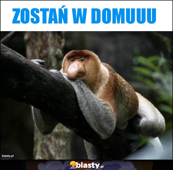 Zostań w domuuu