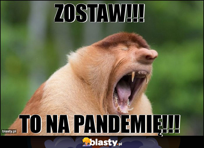 Zostaw!!!