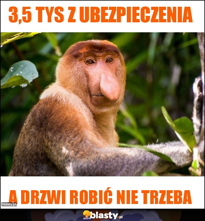 3,5 tys z ubezpieczenia 3,5 tys z ubezpieczenia