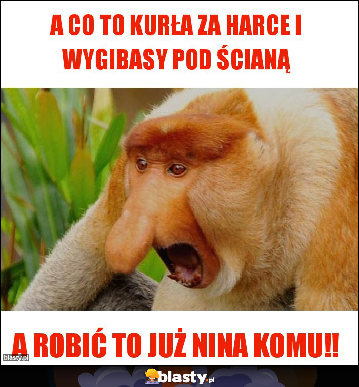 A co to kurła za harce i wygibasy pod ścianą A co to kurła za harce i wygibasy pod ścianą