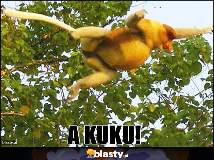 A KUKU!