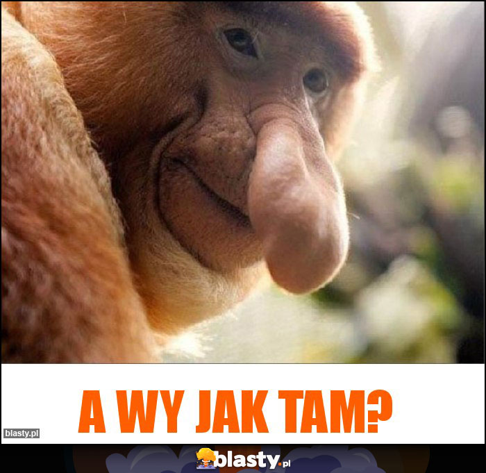 A WY JAK TAM? A WY JAK TAM?