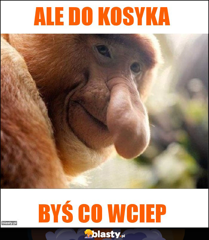 Ale do kosyka Ale do kosyka