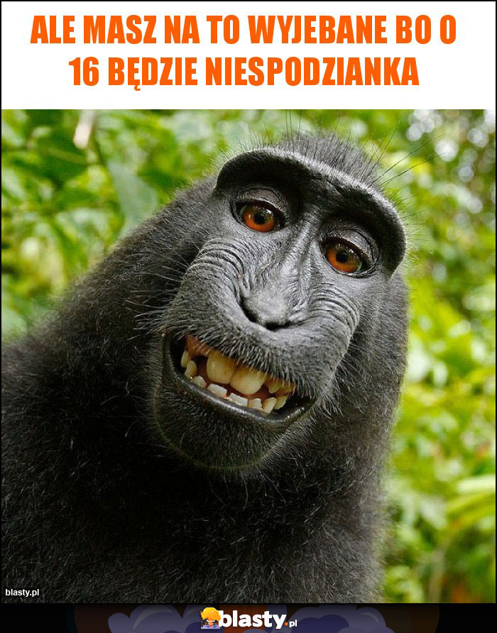 Ale masz na to wyjebane bo o 16 będzie niespodzianka Ale masz na to wyjebane bo o 16 będzie niespodzianka