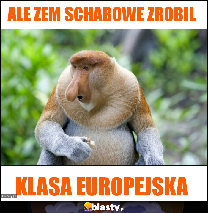 Ale zem schabowe zrobil Ale zem schabowe zrobil