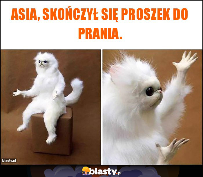 Asia, skończył się proszek do prania. Asia, skończył się proszek do prania.
