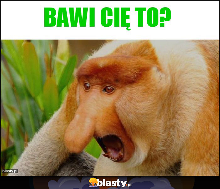 Bawi cię to? Bawi cię to?